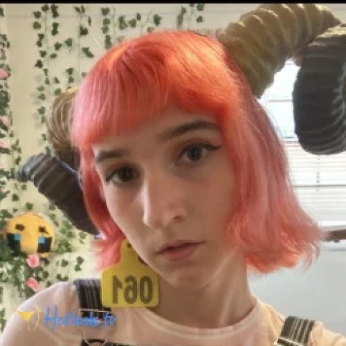 Discord Kitten 🏳️‍⚧️