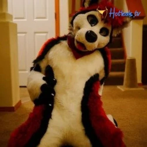 Cenny After Bark 💄