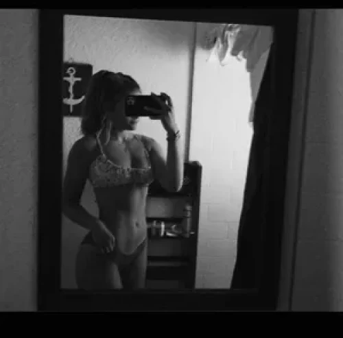 Denalidaisy