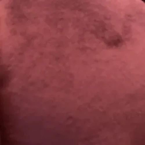 Mollymoon