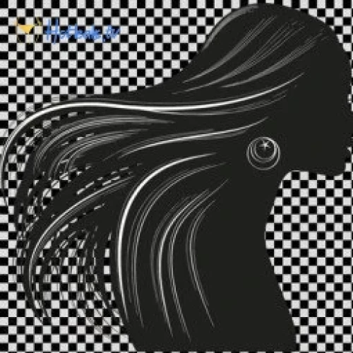 Trans For Fans "Official"