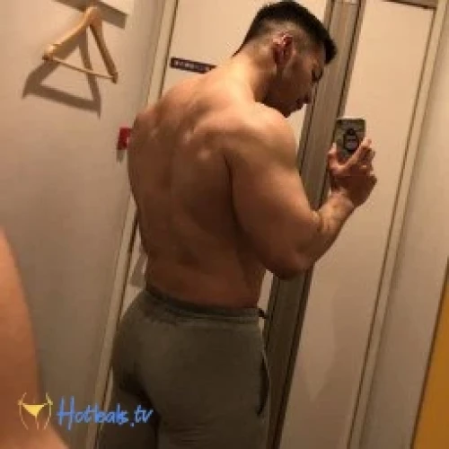 Taro Mano🐻